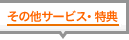 ���̑��T�|�r�X�E���T