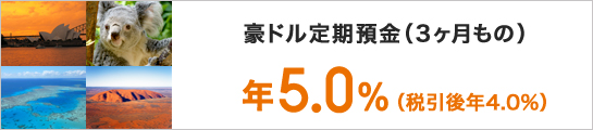 豪ドル定期預金(3ヶ月もの)年5.0％（税引後年4.0％）