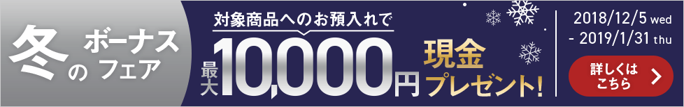 冬のボーナスフェア