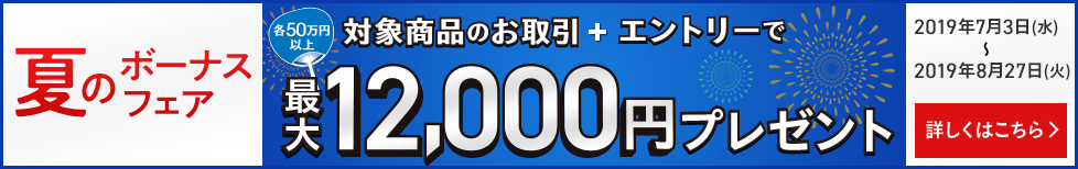 夏のボーナスフェア