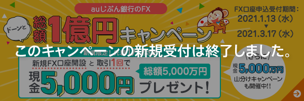 FX 総額1億円施策