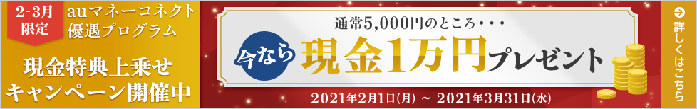 auマネーコネクト 優遇プログラム