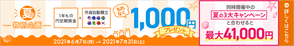 円定期と外貨積立セットでお預入れキャンペーン