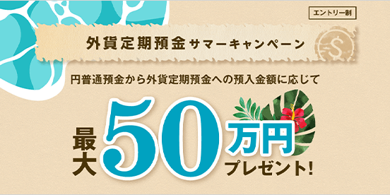 最大50万円プレゼント！外貨定期預金サマーキャンペーン