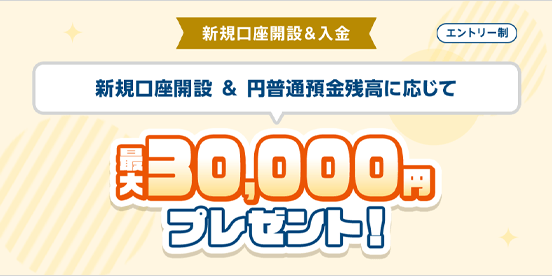 新規口座開設&円普通預金残高に応じて最大30,000円プレゼント！