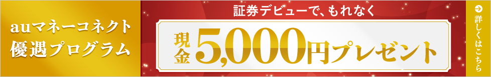 auマネーコネクト 優遇プログラム