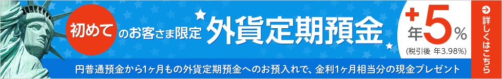 初回だけ現金ゲット！外貨デビュー特典