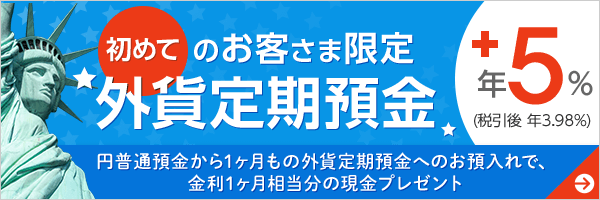 初回だけ現金ゲット！外貨デビュー特典