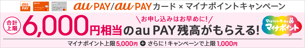 マイナポイントキャンペーン