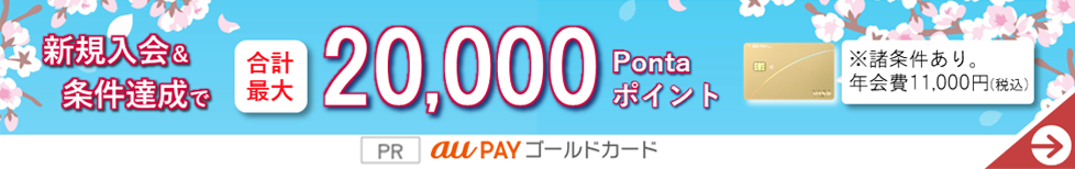 新規入会&条件達成で合計最大20,000Pontaポイント