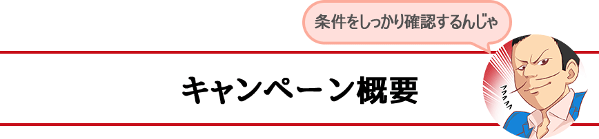 キャンペーン概要