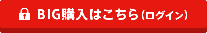 BIG購入はこちら