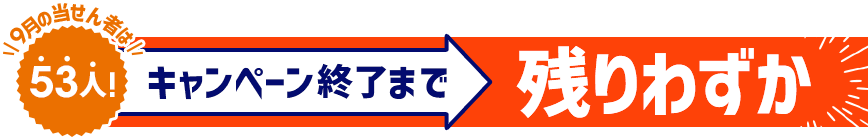 キャンペーン終了まで残りわずか