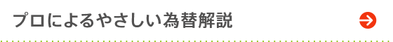 プロによるやさしい為替解説