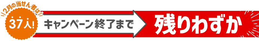 2月の当せん者は37人！ キャンペーン終了まで残りわずか