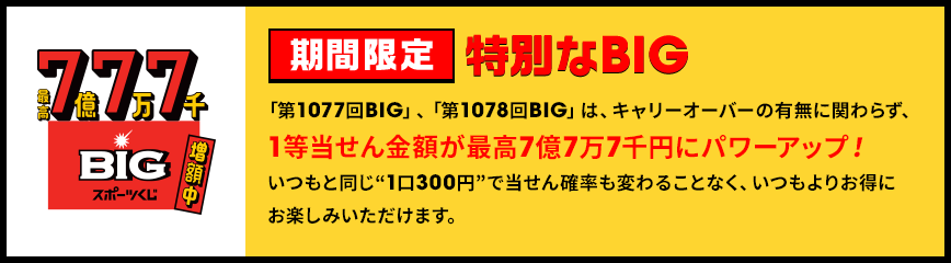 [期間限定] 特別なBIG