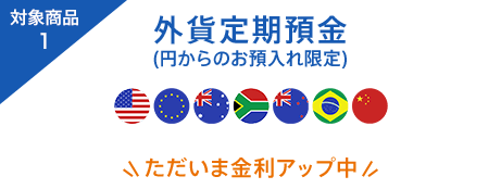 外貨定期預金(円からのお預入れ限定)