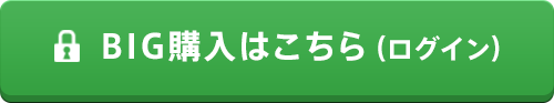 BIG購入はこちら（ログイン）