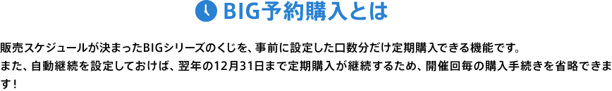 BIG予約購入とは