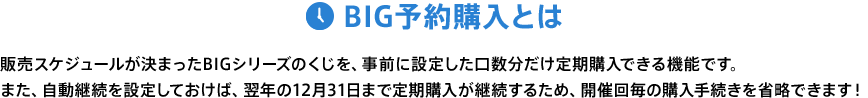 BIG予約購入とは