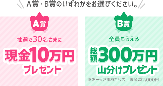 A賞・B賞のいずれかをお選びください。