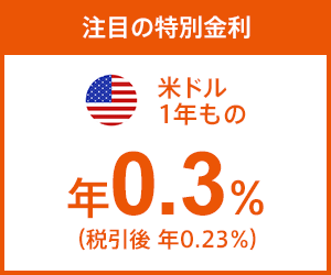 米ドル1年もの