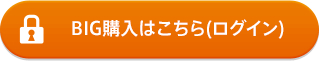 BIG購入はこちら（ログイン）