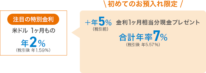 注目の特別金利