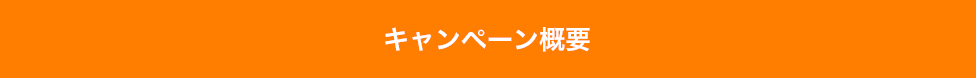 キャンペーン概要