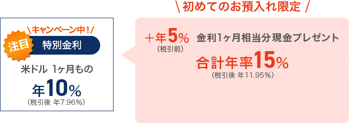 注目の特別金利