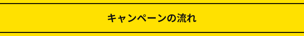 キャンペーンの流れ