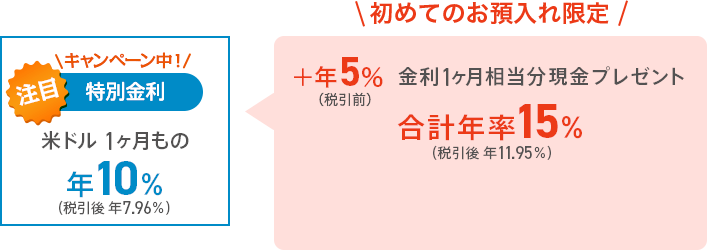 注目の特別金利