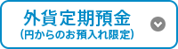 外貨定期預金(円からのお預入れ限定)