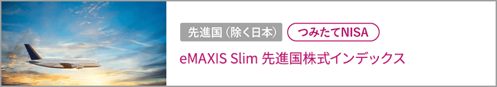 eMAXIS Slim 先進国株式インデックス