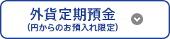 外貨定期預金(円からのお預入れ限定)