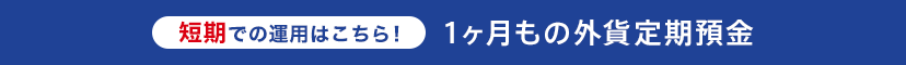 短期での運用はこちら！ 1ヶ月もの外貨定期預金