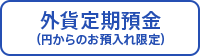 外貨定期預金（円からのお預入れ限定）