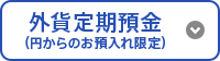 外貨定期預金（円からのお預入れ限定）