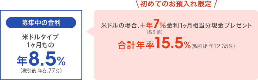 募集中の金利