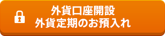 外貨口座開設　外貨定期のお預入れ