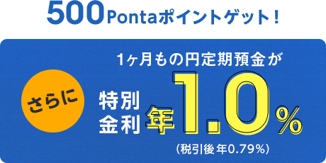 500Pontaポイントゲット！