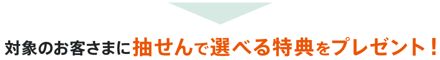 対象のお客さまに抽せんで選べる特典をプレゼント！