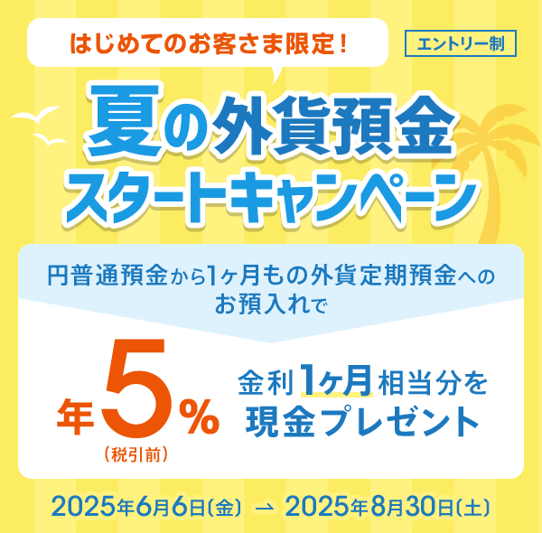 【中古】 堅実なあなたのための外貨預金＆投資信託 外資系金融商品が手にとるようにわかる！/大泉書店/造事務所 外貨預金を学ぶためにおすすめの本/書籍7選｜webdrawer