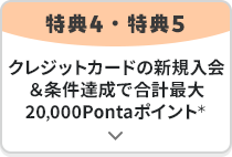 特典4・特典5 クレジットカードの新規入会&条件達成で合計最大20,000Pontaポイント*