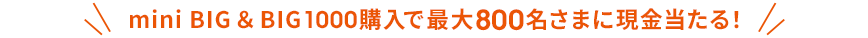 mini BIG&BIG1000購入で最大800名さまに現金当たる！