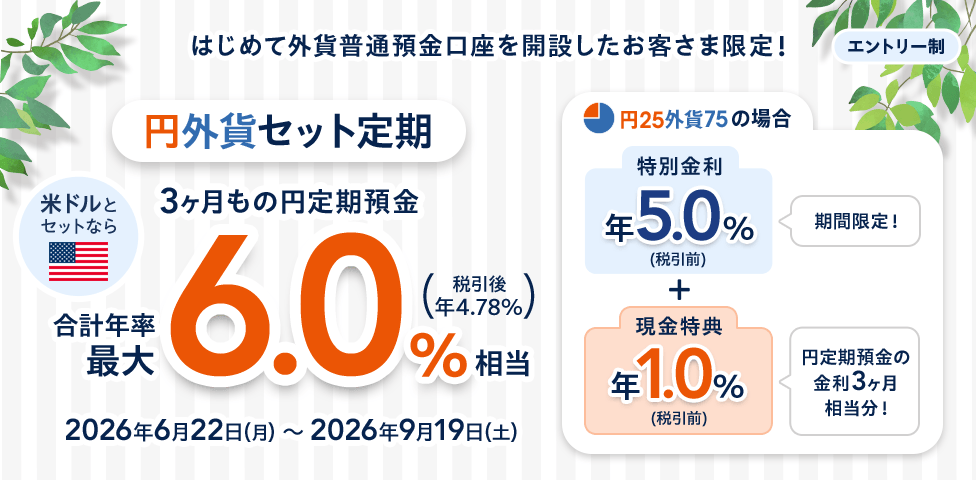 はじめて外貨普通預金口座を開設したお客さま限定！円外貨セット定期