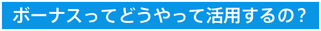 ボーナスってどうやって活用するの？