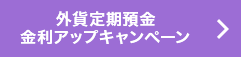 外貨定期預金 金利アップキャンペーン