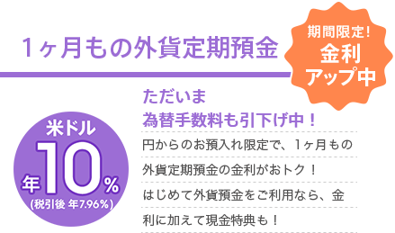 1ヶ月もの外貨定期預金 期間限定！金利アップ中