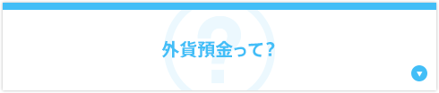 外貨預金って？